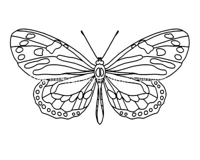 Butterfly Coloring Pages 9
