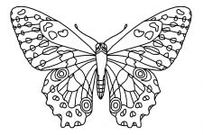 Butterfly Coloring 3