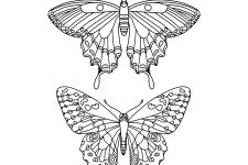Butterfly Coloring 5