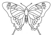 Butterfly Coloring 8