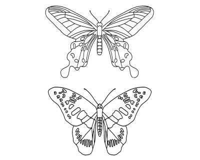Butterfly Coloring 11