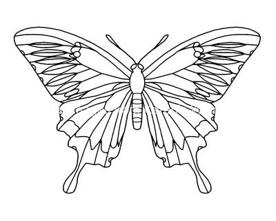 Butterfly Coloring 2