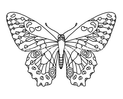 Butterfly Coloring 3