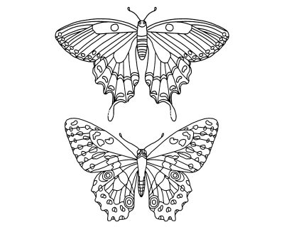 Butterfly Coloring 5