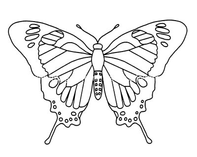 Butterfly Coloring 8