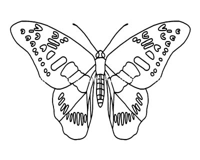 Butterfly Coloring 9