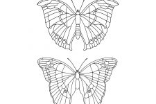 Butterfly Coloring Sheets 12