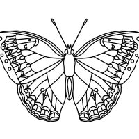 Butterfly Coloring Sheets
