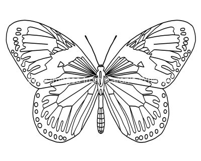 Butterfly Coloring Sheets 1
