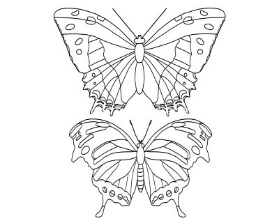 Butterfly Coloring Sheets 11