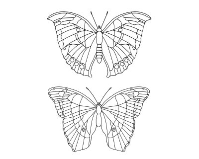 Butterfly Coloring Sheets 12