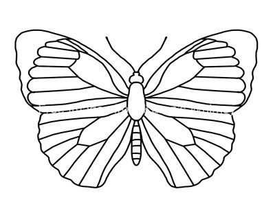 Butterfly Coloring Sheets 4