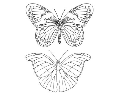 Butterfly Coloring Sheets 5