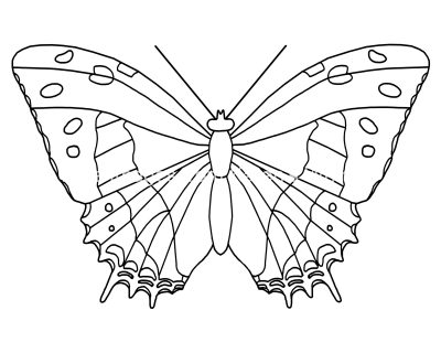 Butterfly Coloring Sheets 7