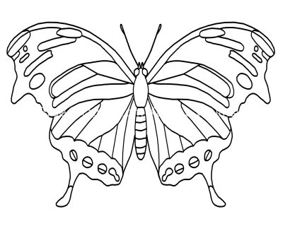 Butterfly Coloring Sheets 8