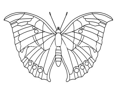 Butterfly Coloring Sheets 9