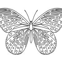 Butterfly Coloring Pictures