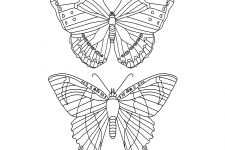 Butterfly Coloring Pictures 11