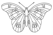 Butterfly Coloring Pictures 3