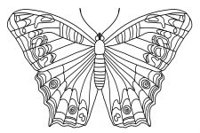 Butterfly Coloring Pictures 4