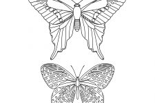 Butterfly Coloring Pictures 5