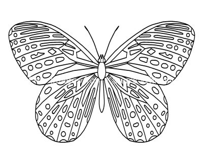 Butterfly Coloring Pictures 1