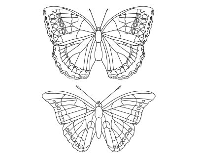 Butterfly Coloring Pictures 12