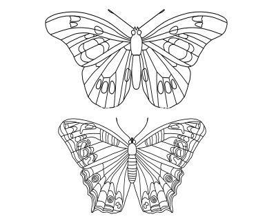 Butterfly Coloring Pictures 6