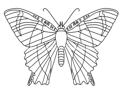 Butterfly Coloring Pictures 8