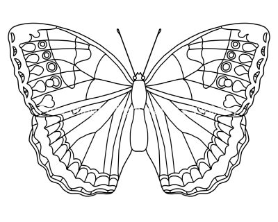 Butterfly Coloring Pictures 9
