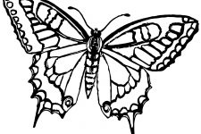 Coloring Pages Of Butterflies 1