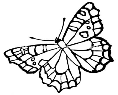 Coloring Pages Of Butterflies 5