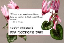 Message For Happy Mothers Day 7