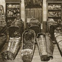 Mummies of Egypt