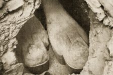 Mummies Of Egypt 6