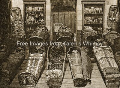 Mummies of Egypt 1