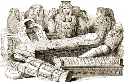 Mummies Of Ancient Egypt 8