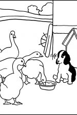 Farm Animals Coloring Pages 1 Pup and Ducks