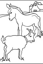 Farm Animals Coloring Pages 6 Donkey And Goat
