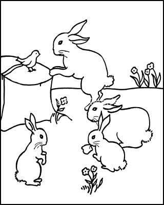 Farm Animals Coloring Pages 2 Bunnies And Bird