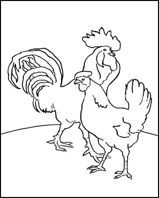 Farm Animals Coloring Pages 5 Rooster And Hen