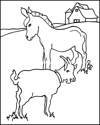 Farm Animals Coloring Pages 6 Donkey And Goat