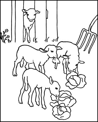 Farm Animals Coloring Pages 9- Lambs Eating