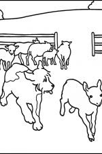 Coloring Pages Of Cute Animals 7 Dog With Lambs