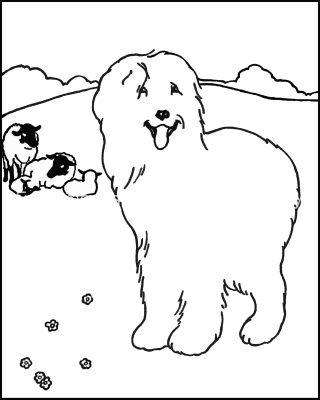 Coloring Pages Of Cute Animals 11 Sheepdog With Sheep