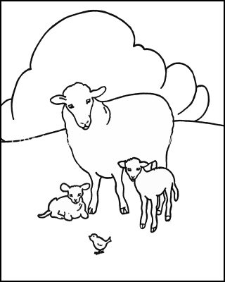 Coloring Pages Of Cute Animals 12 Lambs And Birdie