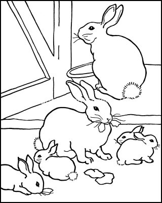 Coloring Pages Of Cute Animals 3 Bunch Of Bunnies