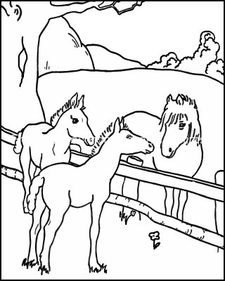Coloring Pages Of Cute Animals 4 Three Horses