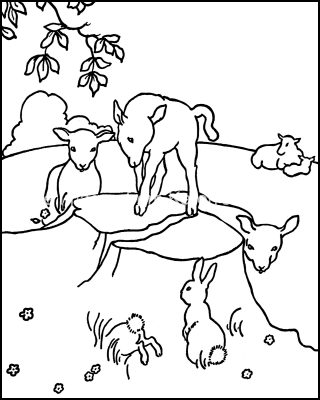 Coloring Pages Of Cute Animals 5 Lambs And Bunnies