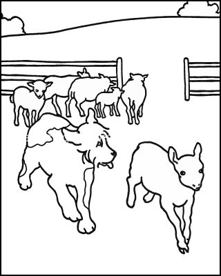 Coloring Pages Of Cute Animals 7 Dog With Lambs